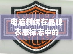 电脑刺绣在品牌衣服标志中的应用与魅力