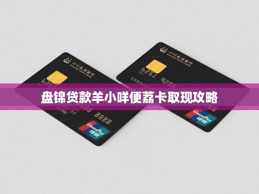盘锦贷款羊小咩便荔卡取现攻略