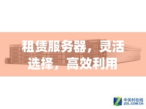 租赁服务器，灵活选择，高效利用