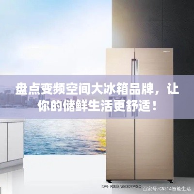 盘点变频空间大冰箱品牌，让你的储鲜生活更舒适！