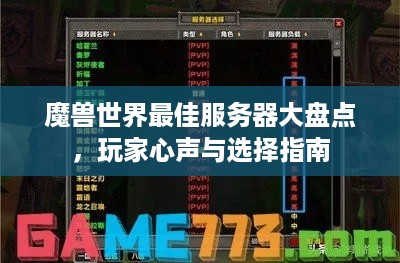 魔兽世界最佳服务器大盘点，玩家心声与选择指南