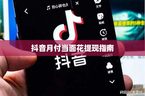 抖音月付当面花提现指南