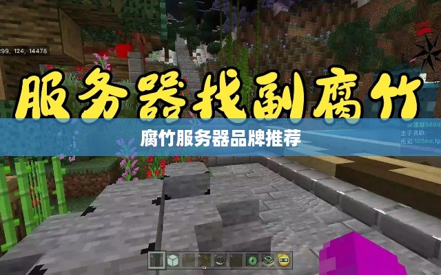 腐竹服务器品牌推荐