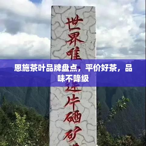 恩施茶叶品牌盘点，平价好茶，品味不降级