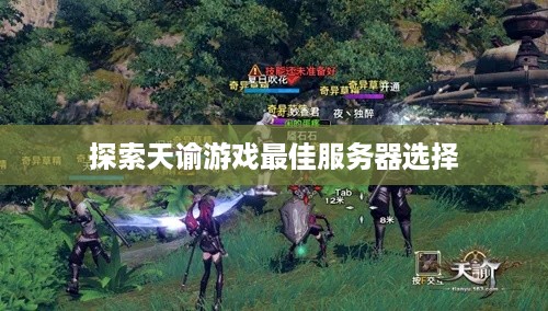 探索天谕游戏最佳服务器选择