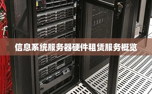 信息系统服务器硬件租赁服务概览