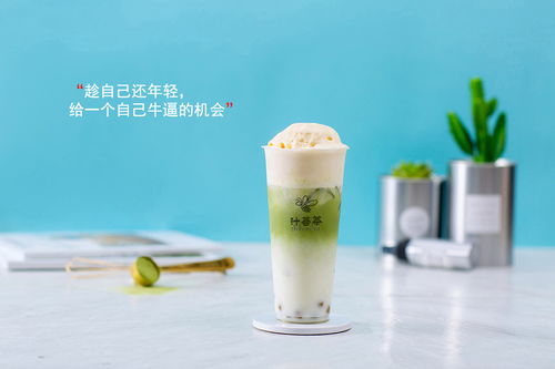 福建奶茶的茶香传奇，揭秘热门茶叶品牌背后的故事