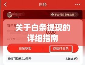 关于白条提现的详细指南