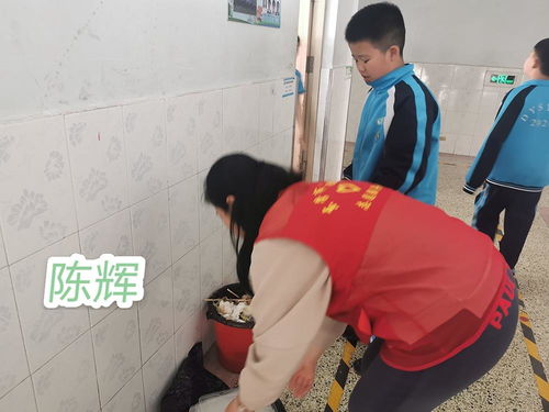在线查酒店开房记录，便捷服务的探索与实践