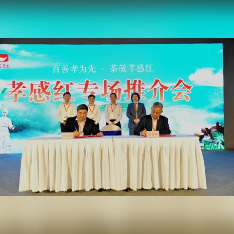 盘点热门商城茶叶品牌，品味茶香四溢的时光之旅