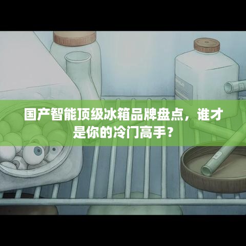国产智能顶级冰箱品牌盘点，谁才是你的冷门高手？