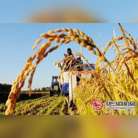 国产智能顶级冰箱品牌盘点，谁才是你的冷门高手？