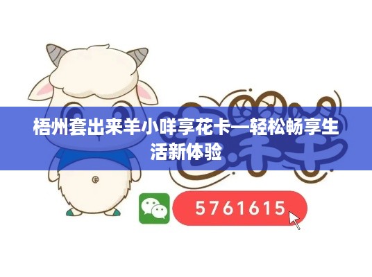梧州套出来羊小咩享花卡—轻松畅享生活新体验