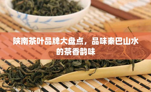 陕南茶叶品牌大盘点，品味秦巴山水的茶香韵味