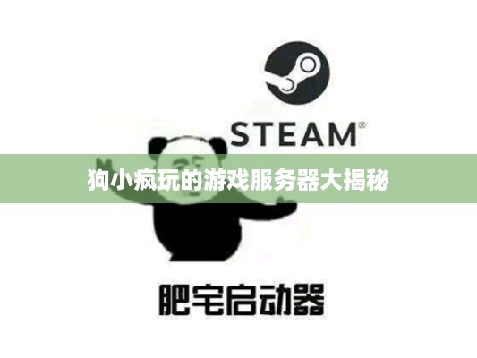 狗小疯玩的游戏服务器大揭秘