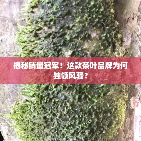 揭秘销量冠军！这款茶叶品牌为何独领风骚？