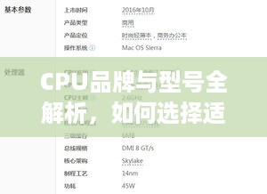 CPU品牌与型号全解析，如何选择适合自己的电脑处理器