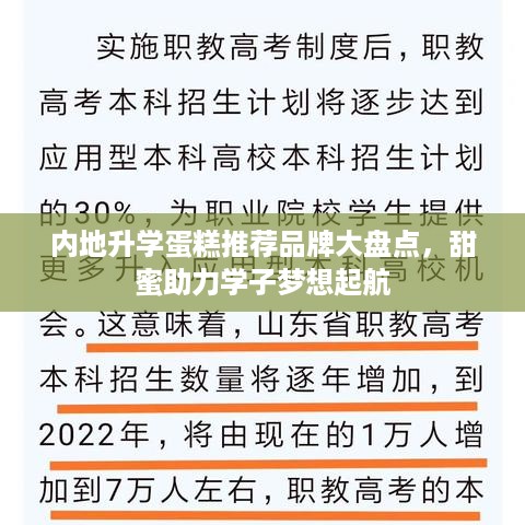 内地升学蛋糕推荐品牌大盘点，甜蜜助力学子梦想起航