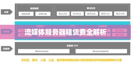 流媒体服务器租赁费全解析