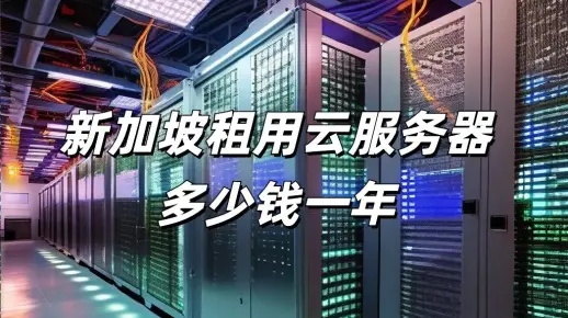 新加坡高防服务器租赁指南
