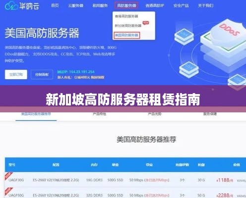 新加坡高防服务器租赁指南