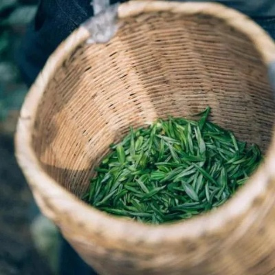 盘点茶叶界的高端好喝品牌，品味非凡茶香之旅