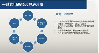 一站式电商解决方案，彭阳服务器租赁服务