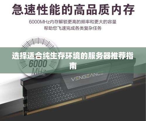选择适合纯生存环境的服务器推荐指南