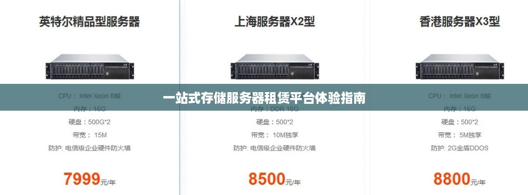 一站式存储服务器租赁平台体验指南