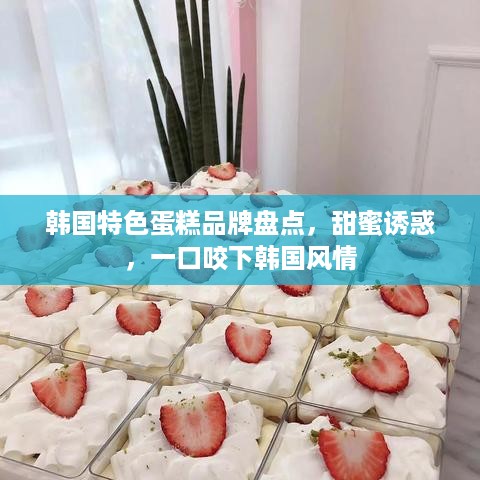 韩国特色蛋糕品牌盘点，甜蜜诱惑，一口咬下韩国风情