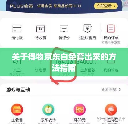 关于得物京东白条套出来的方法指南