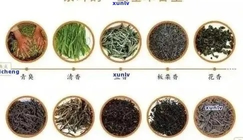 盘点那些酸甜可口，让人回味无穷的茶叶品牌
