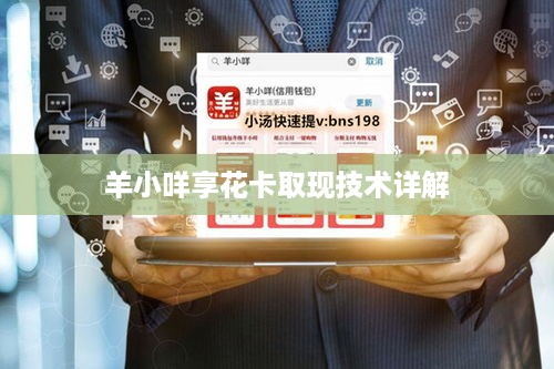 羊小咩享花卡取现技术详解
