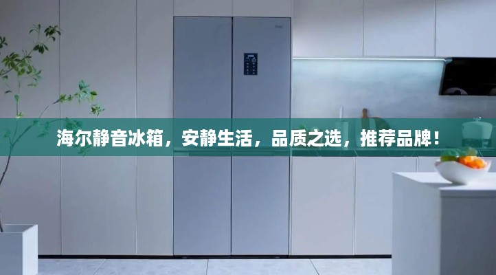 海尔静音冰箱，安静生活，品质之选，推荐品牌！