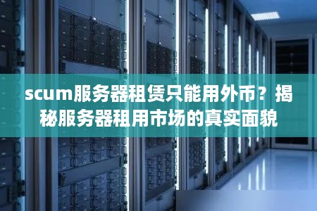 scum服务器租赁只能用外币？揭秘服务器租用市场的真实面貌