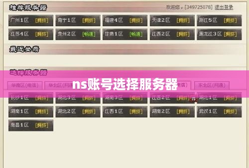 ns账号选择服务器