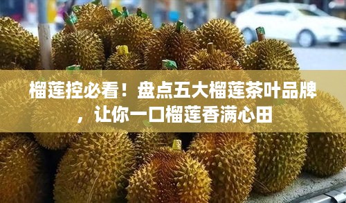 榴莲控必看！盘点五大榴莲茶叶品牌，让你一口榴莲香满心田