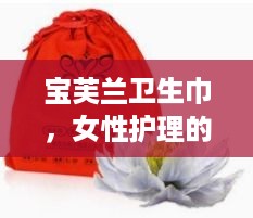 宝芙兰卫生巾，女性护理的贴心守护者