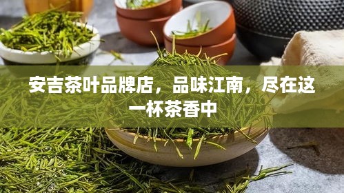 安吉茶叶品牌店，品味江南，尽在这一杯茶香中