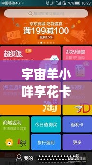 宇宙羊小咩享花卡信用卡套现案例分析