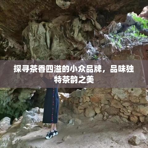 探寻茶香四溢的小众品牌，品味独特茶韵之美
