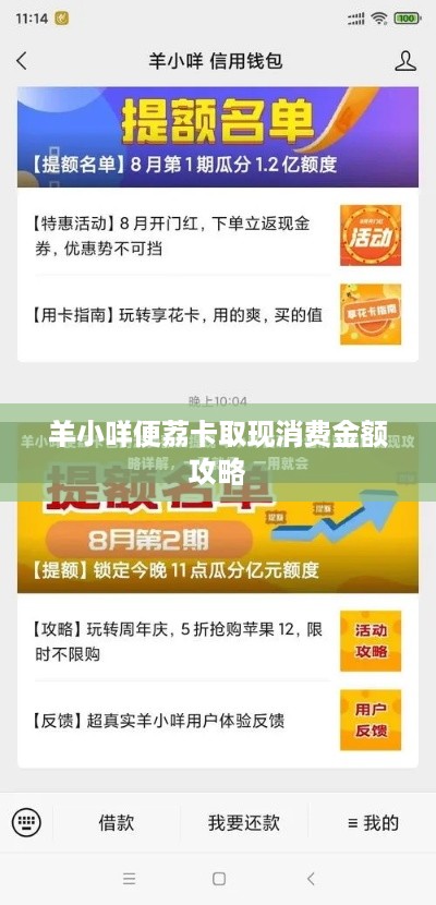 羊小咩便荔卡取现消费金额攻略