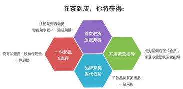 茶叶品牌加盟店，揭秘利润空间与经营策略