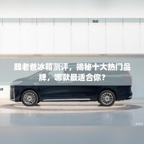 魏老爸冰箱测评，揭秘十大热门品牌，哪款最适合你？