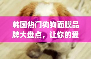 韩国热门狗狗面膜品牌大盘点，让你的爱宠也享受护肤时光！