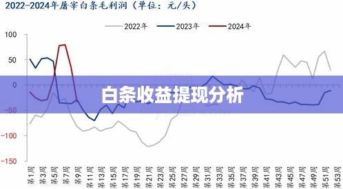 白条收益提现分析