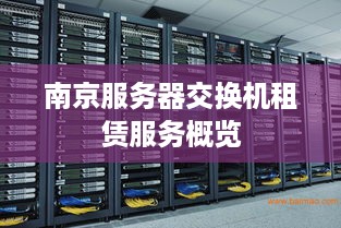 南京服务器交换机租赁服务概览