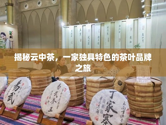 揭秘云中茶，一家独具特色的茶叶品牌之旅