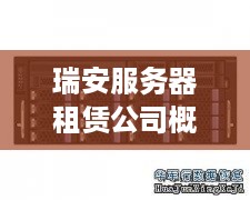 瑞安服务器租赁公司概览，服务种类与案例详解