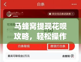 马蜂窝提现花呗攻略，轻松操作，一步到位